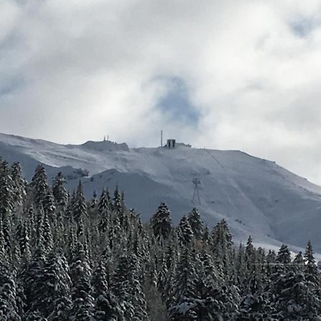 Le Lioran Studio Les Myrtilles A 200M Des Pistes Eksteriør billede