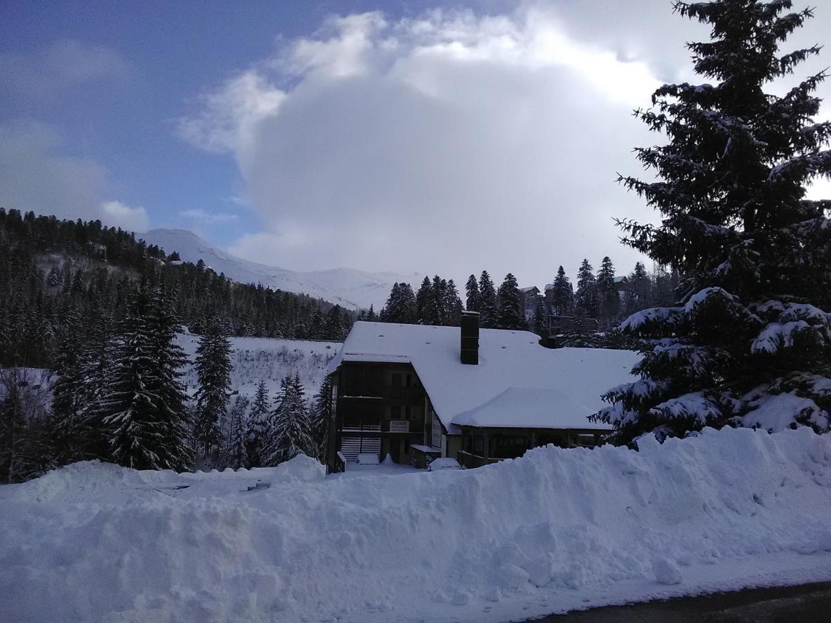 Le Lioran Studio Les Myrtilles A 200M Des Pistes Eksteriør billede