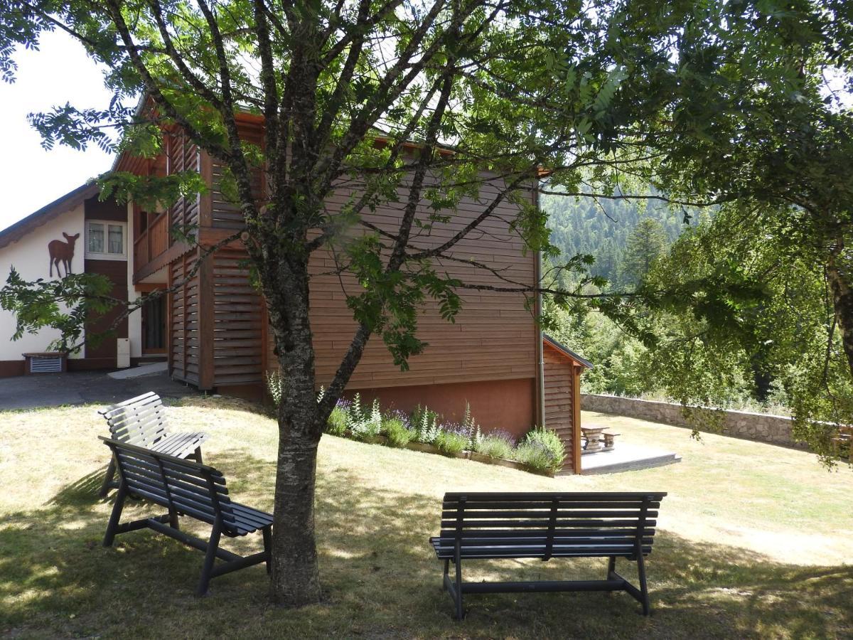 Le Lioran Studio Les Myrtilles A 200M Des Pistes Eksteriør billede
